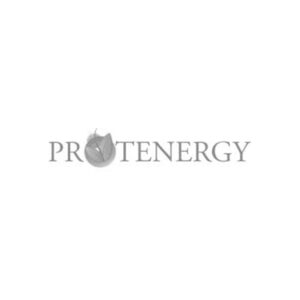 Protenergy Logo